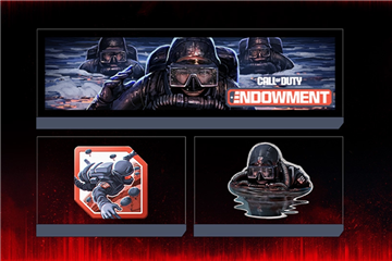 Call of Duty® Endowment (C.O.D.E.) Direct Action Pack